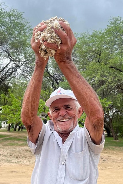coleção algodão agroecológico riachuelo